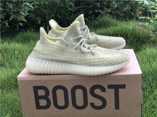 2019 Adidas Yeezy Boost 350 V2 "Antlia Reflective" (AYZN005)